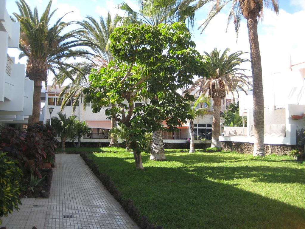 Elana Apartment With Free Wifi Costa Del Silencio Buitenkant foto
