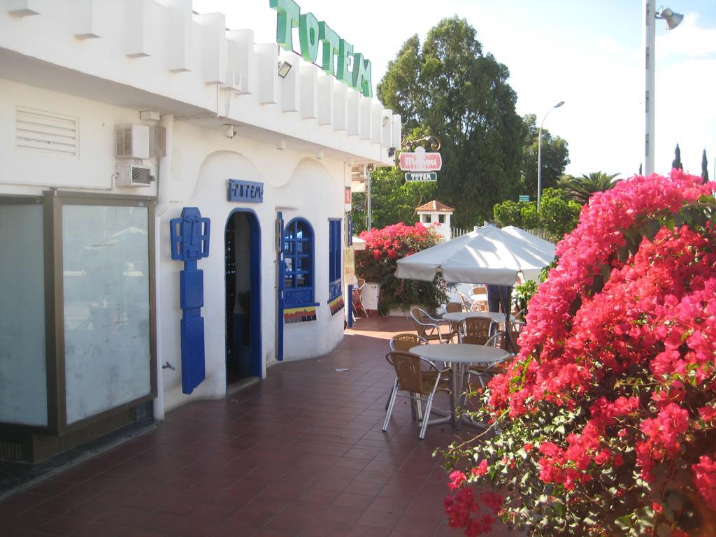 Elana Apartment With Free Wifi Costa Del Silencio Buitenkant foto