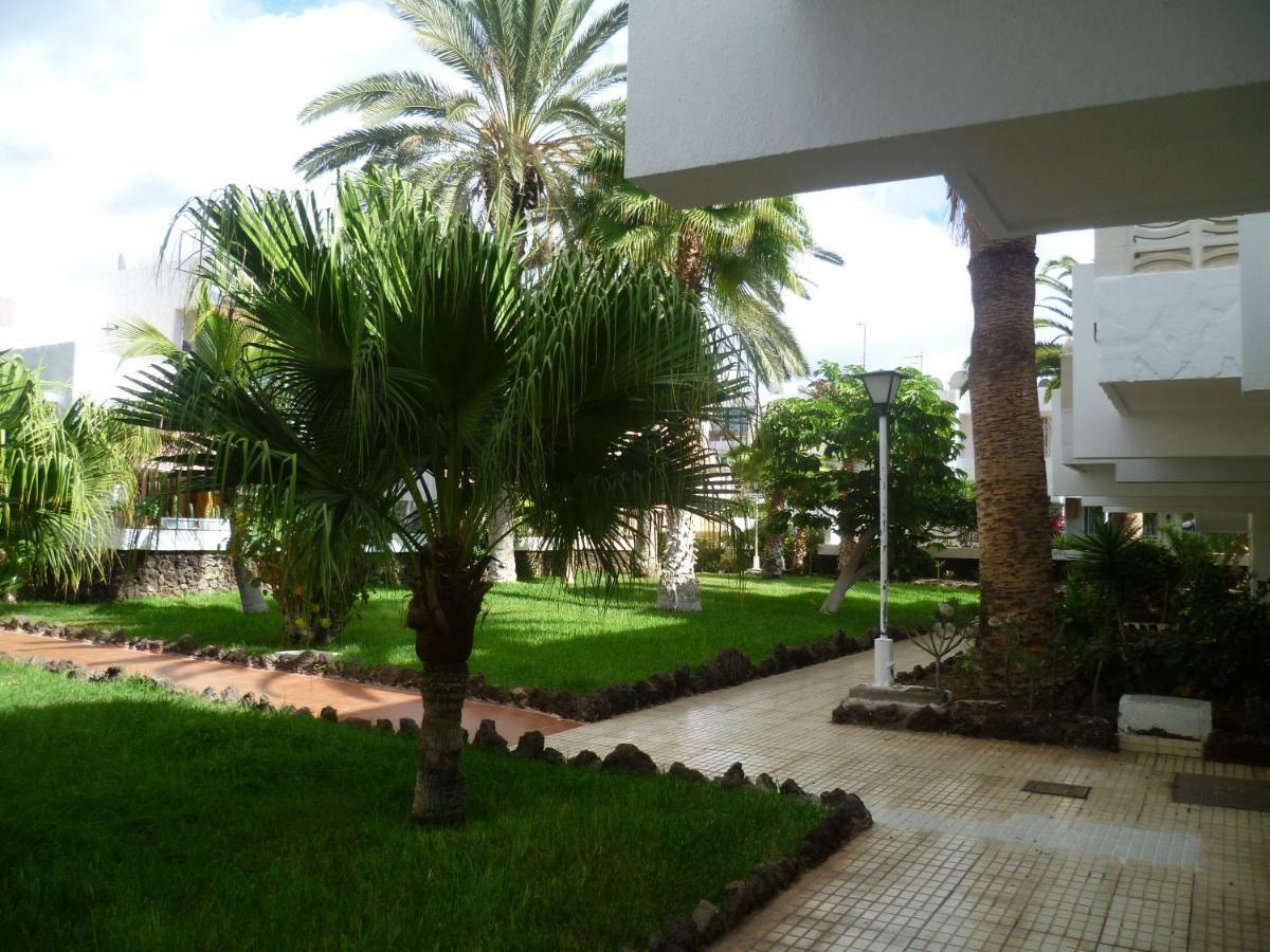 Elana Apartment With Free Wifi Costa Del Silencio Buitenkant foto