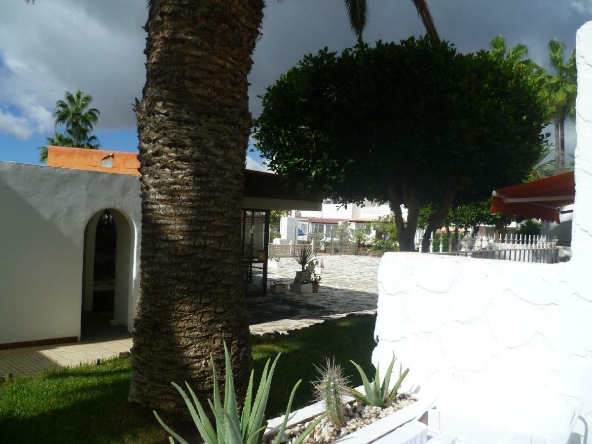Elana Apartment With Free Wifi Costa Del Silencio Buitenkant foto